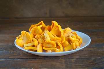Delicious wild mushrooms chanterelle on table
