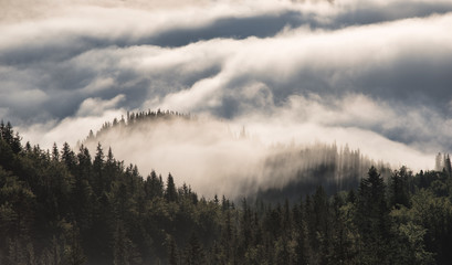 Mountain hills covered with morning fog in summer