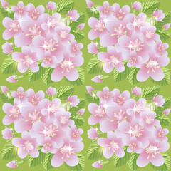 Spring sakura seamless pattern, vector illustration