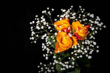 Fototapeta premium Bouquet from roses and Gypsophila with drops on petals