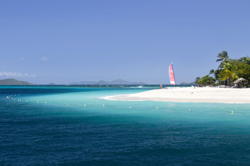 catamaran Palm Island