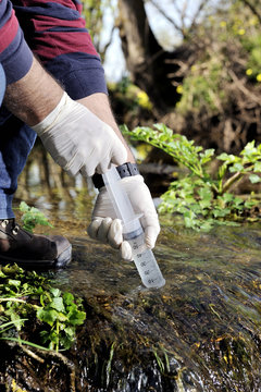 Environmental pollution study of a water course