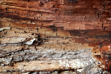 Brown vintage texture of old wood inside.