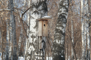 Скворечник