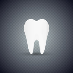 Realistic Teeth isolated on transparent background. Vector illustration.