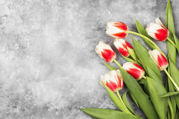 Bouquet of red-white tulips on a light background. Top view, copy space.