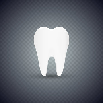Realistic Teeth isolated on transparent background. Vector illustration.
