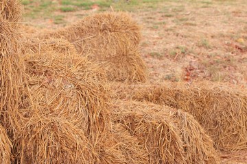 Straw stack agriculture farm