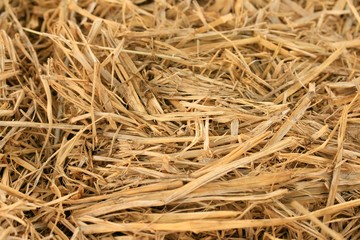 Straw stack agriculture farm