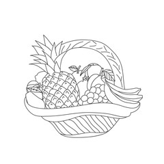 Basket sketch with fruit on a white background