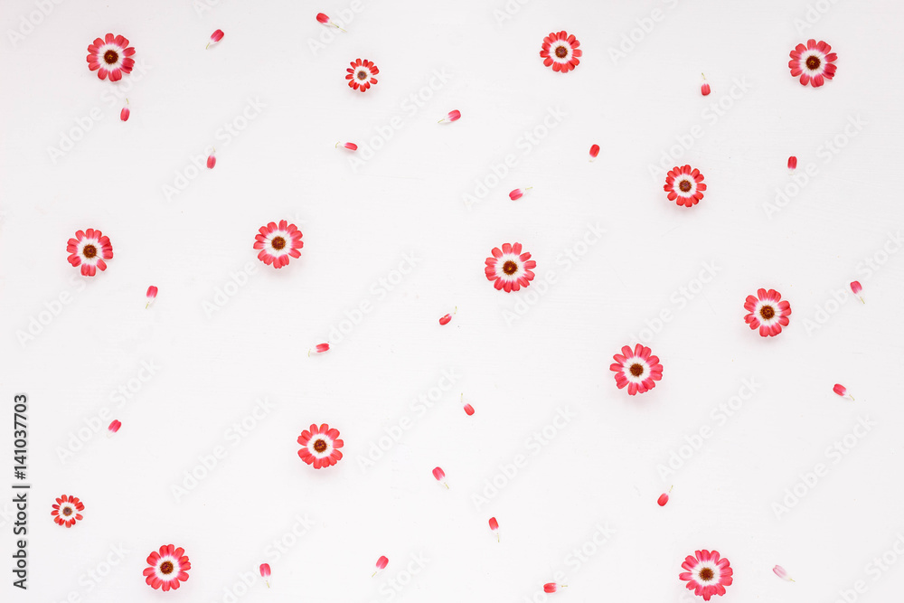 Wall mural Card with spring flowers. Pink flowers on white background. Flat lay.