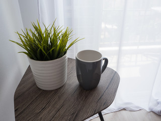 green plant in white pot and gray cup on the table for room interior