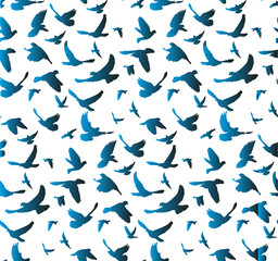 Vector, seamless pattern, silhouette of flying birds