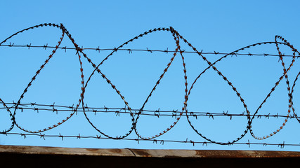 Barbed wire on the fence.