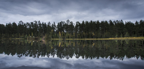 The forest reflects on the smooth water