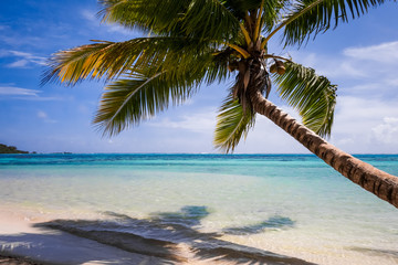 Obraz na płótnie Canvas Paradise tropical beach and lagoon in Moorea Island