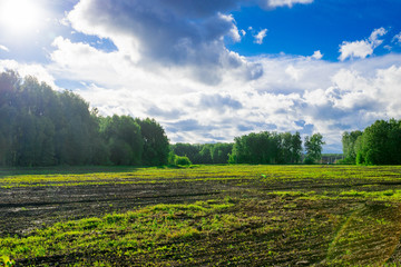 farm field in sun light, countryside landscape