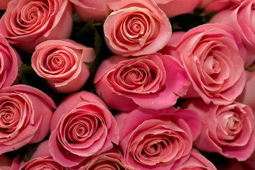 Obraz na płótnie Canvas Macro photography of pink roses bouquet 