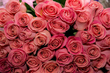 A lot of pink roses bouquet flowers