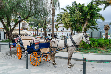 Horse carriage for tourist in Mijas, Spain