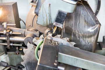 Machine for sharpening circular saw