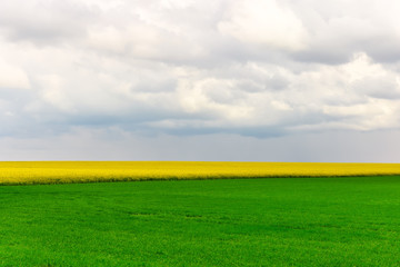Fototapeta na wymiar Field of different colors, yellow and green with different crops and sky with clouds 