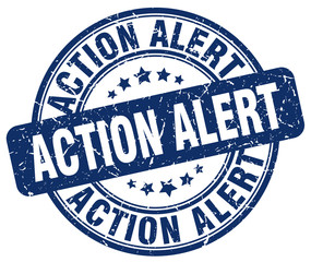 action alert blue grunge stamp