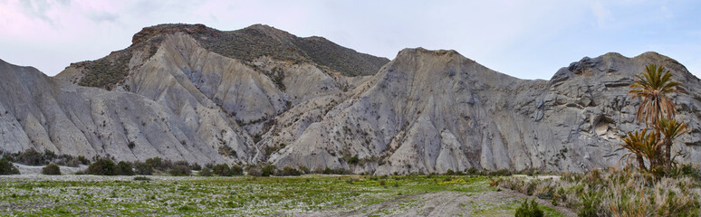 Desierto de Tabernas, Panorama