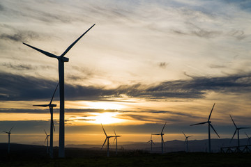 Obraz premium Wind Farm