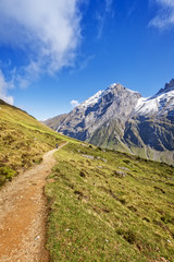 Fototapeta na wymiar Mountain hiking trail in swiss alps