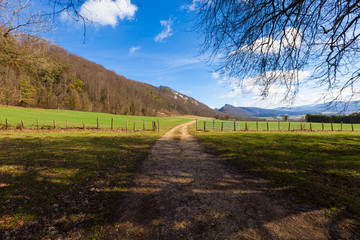 country landscape with fence and dirt road, spring