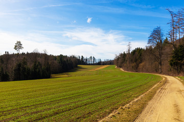 Countryside landscape with dirt road