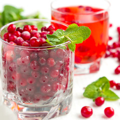 Fresh juicy berry cranberries close-up on a plate concept of eating and health