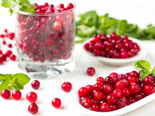 Fresh juicy berry cranberries close-up on a plate concept of eating and health