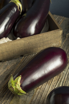 Raw Organic Purple Eggplant