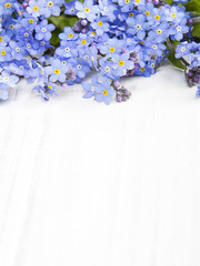 blue flowers frame on white wooden background
