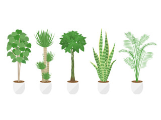 観葉植物のイラストセット