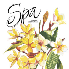 Illustration with realistic watercolor Plumeria flowers. Beautiful bouquet with tropical plants and word- Spa. EPS 10