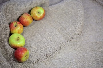 the apples on the background of the canvas.