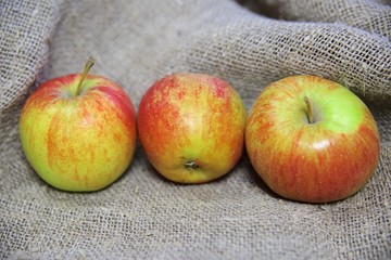 the apples on the background of the canvas.
