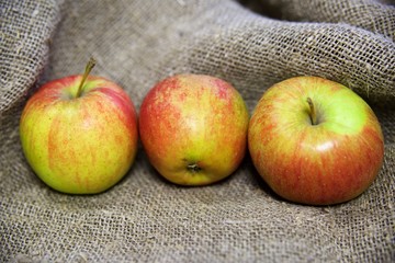the apples on the background of the canvas.