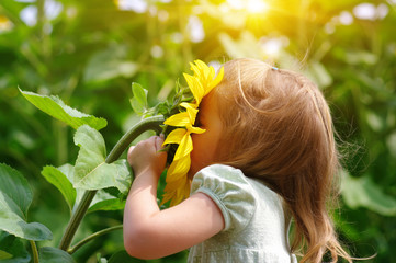 girl and sunflower on the field