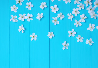  blossom on blue wood background