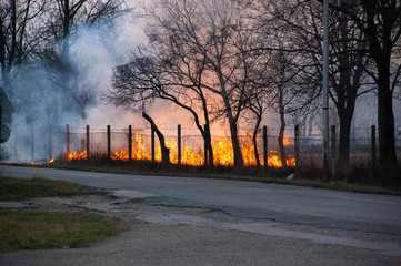 The fire near the town