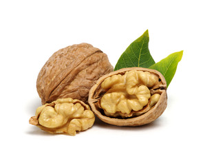 Walnuts with leaves