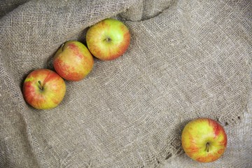 the apples on the background of the canvas.