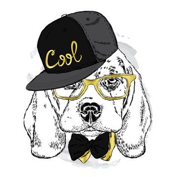 Cute puppy wearing a cap , sunglasses and tie . Vector illustration.