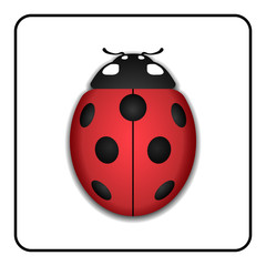 Ladybug small icon. Red lady bug sign, isolated on white background. 3d volume design. Cute colorful ladybird. Insect cartoon beetle. Symbol of nature, spring or summer. Vector illustration