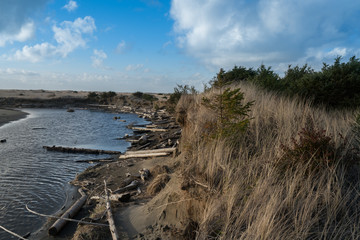 Beach Bluffs