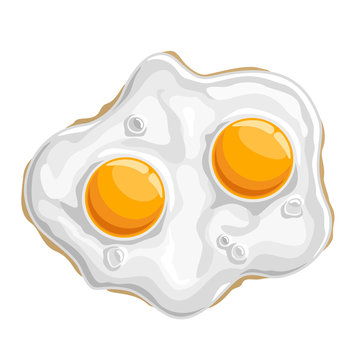 Vector illustration Fried chicken Egg: isolated cooked white protein with 2 yellow yolk-sunny side, logo cartoon cooking fried egg - top view, abstract clip art of traditional crispy fry breakfast up.